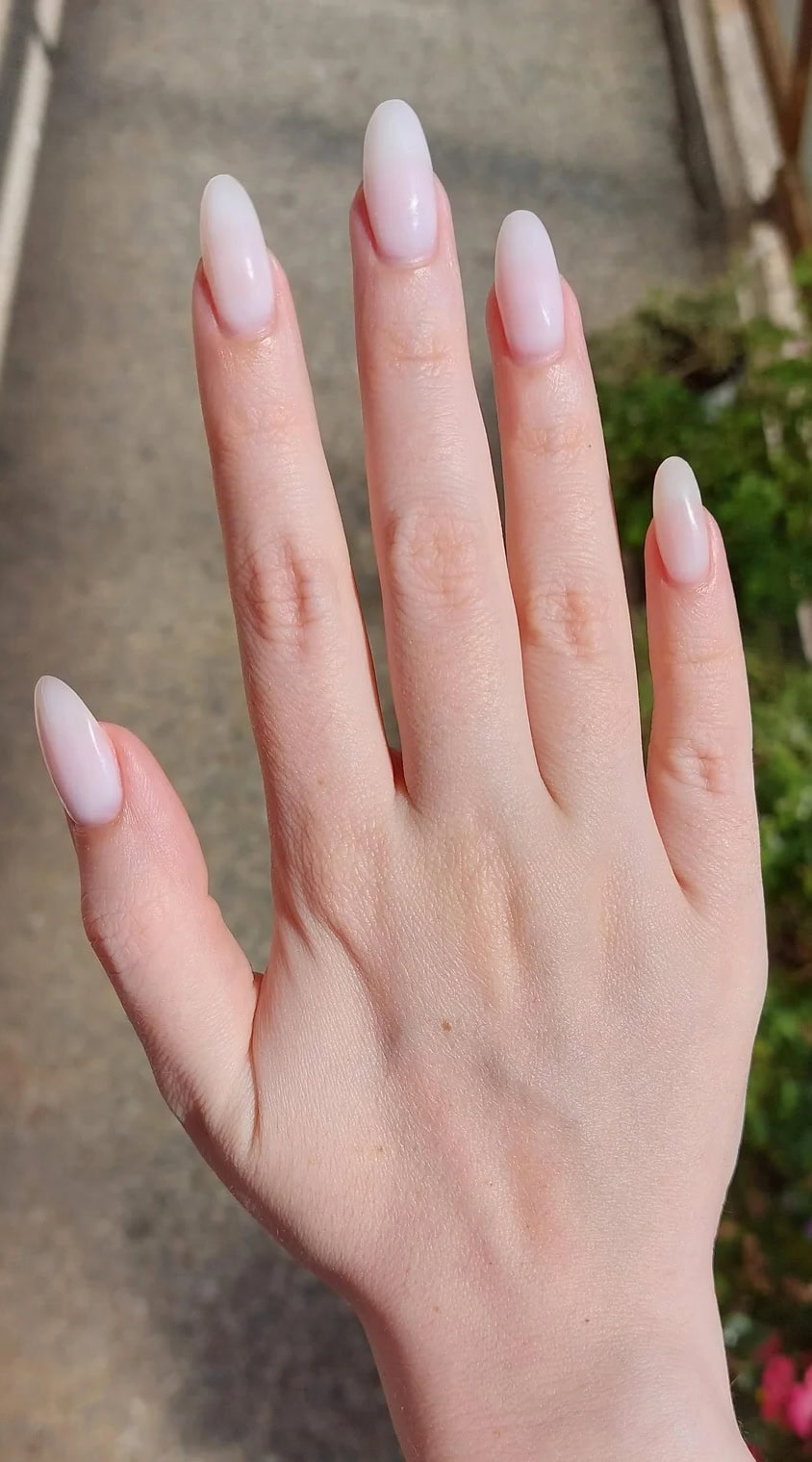 Long fingers with natural, glossy oval-shaped nails that enhance elegance.